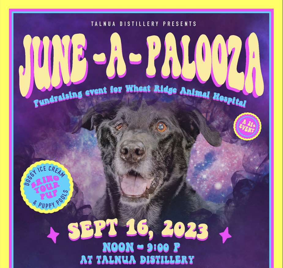 June-A-Palooza poster image